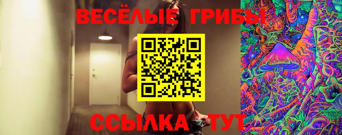 Псилоцибиновые грибы Psilocybine cubensis Чапаевск